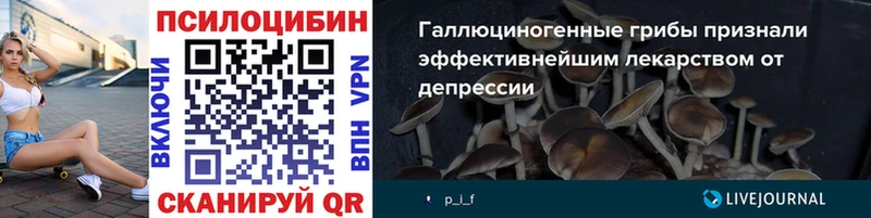 Псилоцибиновые грибы Psilocybine cubensis наркотики MEGA ССЫЛКА Макарьев